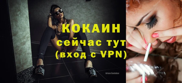 дживик Бронницы