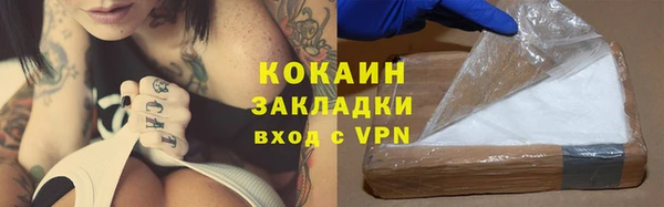 дживик Бронницы