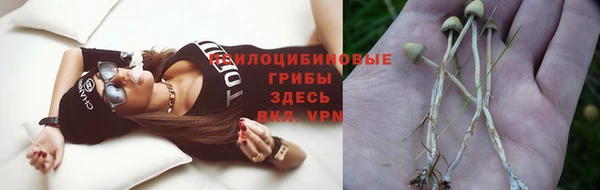 дживик Бронницы
