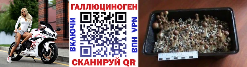 Псилоцибиновые грибы MAGIC MUSHROOMS  Княгинино 